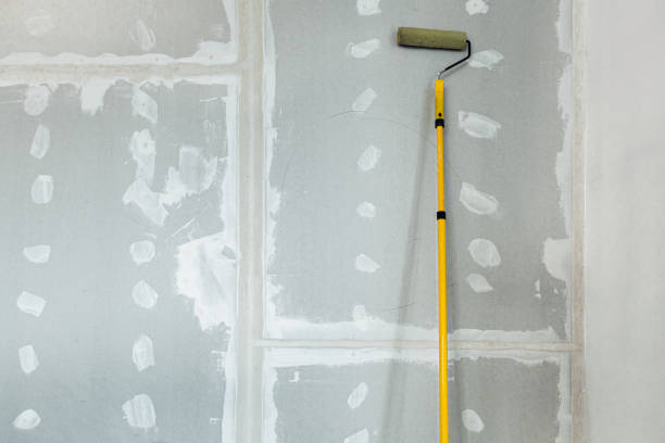 Saint Davids, PA Mold Removal Company